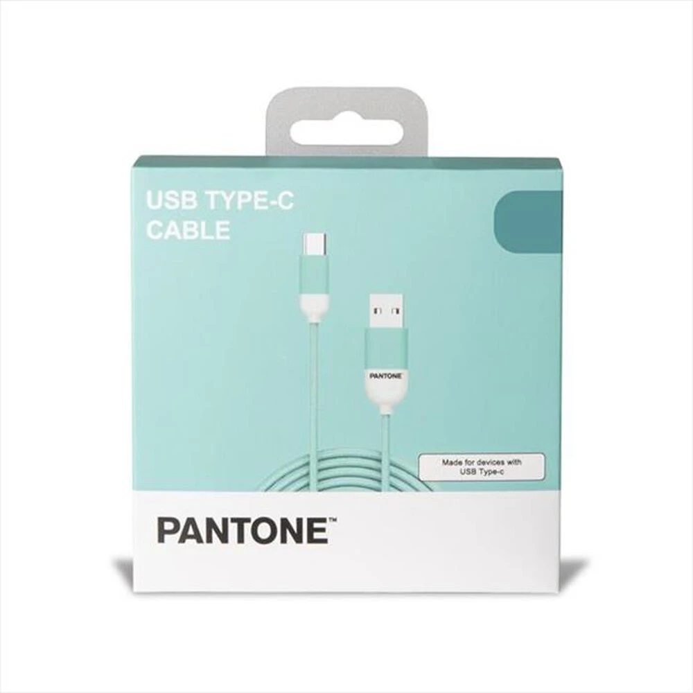 PANTONE - PT-TC001-5L - TYPE-C CABLE 1 5 MT-AZZURRO/PLASTICA 4 PANTONE - PT-TC001-5L - TYPE-C CABLE 1 5 MT-AZZURRO/PLASTICA - immagine 2