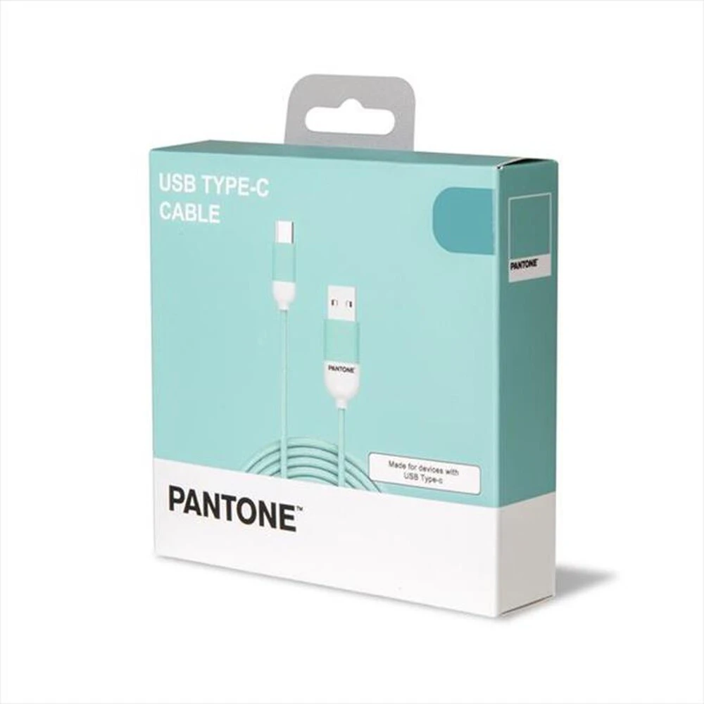 PANTONE - PT-TC001-5L - TYPE-C CABLE 1 5 MT-AZZURRO/PLASTICA 5 PANTONE - PT-TC001-5L - TYPE-C CABLE 1 5 MT-AZZURRO/PLASTICA - immagine 3