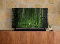 SONOS - Soundbar Premium ARC + NANOLEAF HEX X5-Black -Negozio Di Elettronica 222011715 4